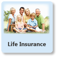 Life Insurance